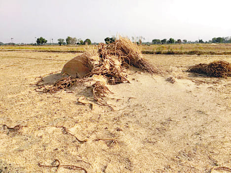 Blown stacks of fields from the storm, electricity fault