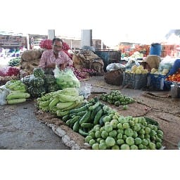 increase crop green vegetable presence rise in mandi, 