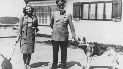 adolf hitler married, party again shot