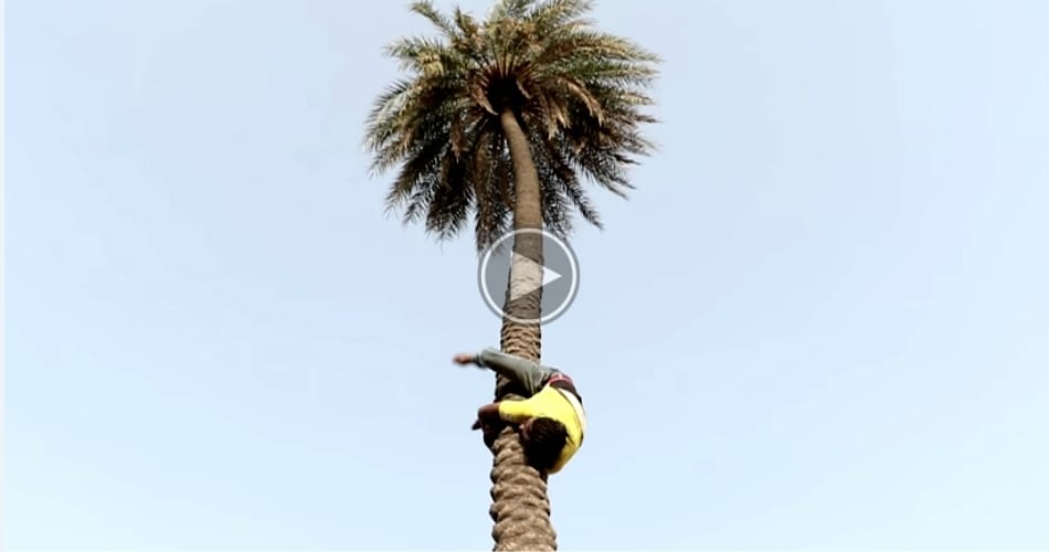 man loves climbing on tree
