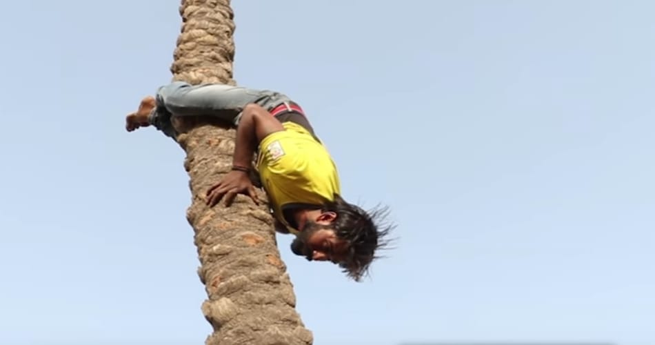 man loves climbing on tree