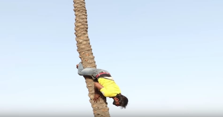 man loves climbing on tree