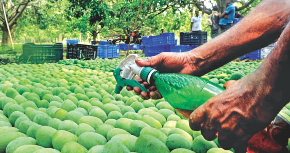 risks for health, fruits cooked hazared chemicals