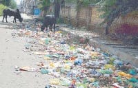 garbage, road, file, solid, west, manegment, nagarpalika