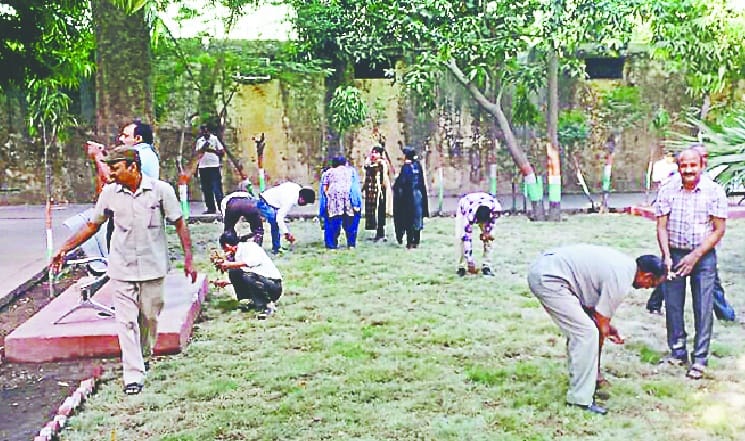 EO and babus put brooms in offices