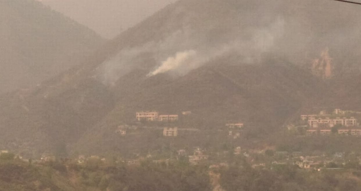 Forest fire near the village;.