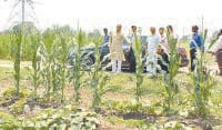 agriculture modal, zero expence, scientist, kurukshetra