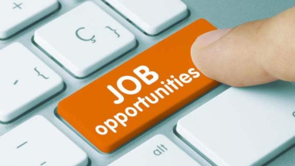  job fair at banjar kullu himachal