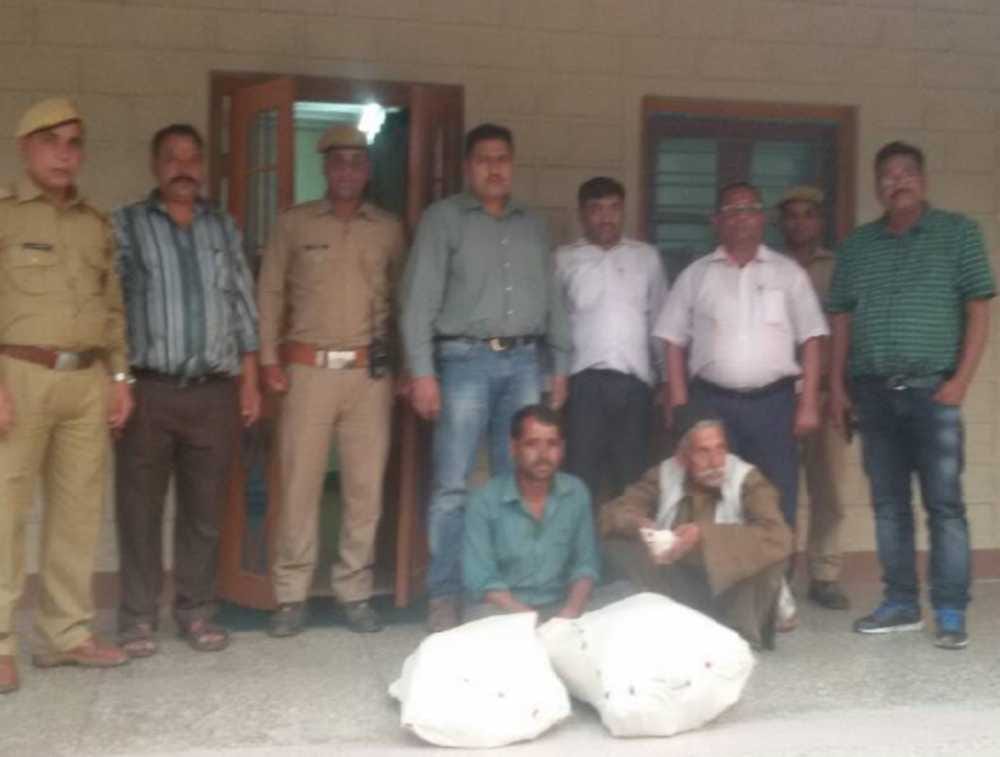 forest team caught two people with guldar skin