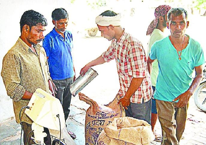 Record of wheat procurement broken