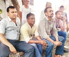 ganne ki fasal jali. kai kisan jhulse