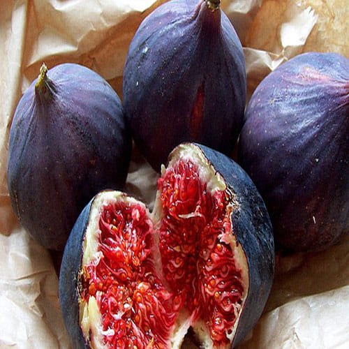 Include these things in your diet to avoid anemia