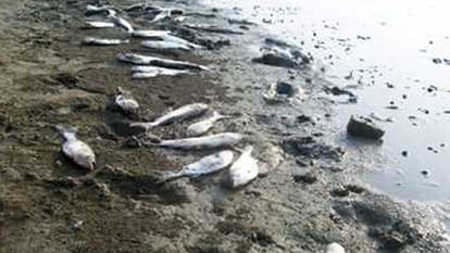 two death in heat stroke