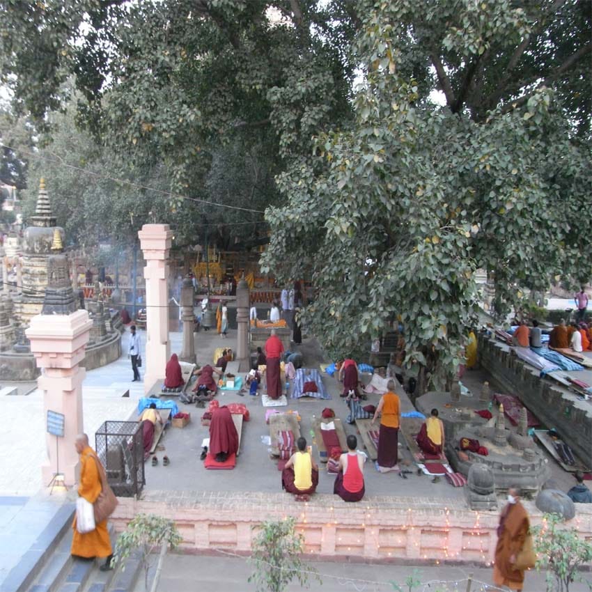 buddha purnima: bodhi tree stand with 12 pillar in mahabodhi temple