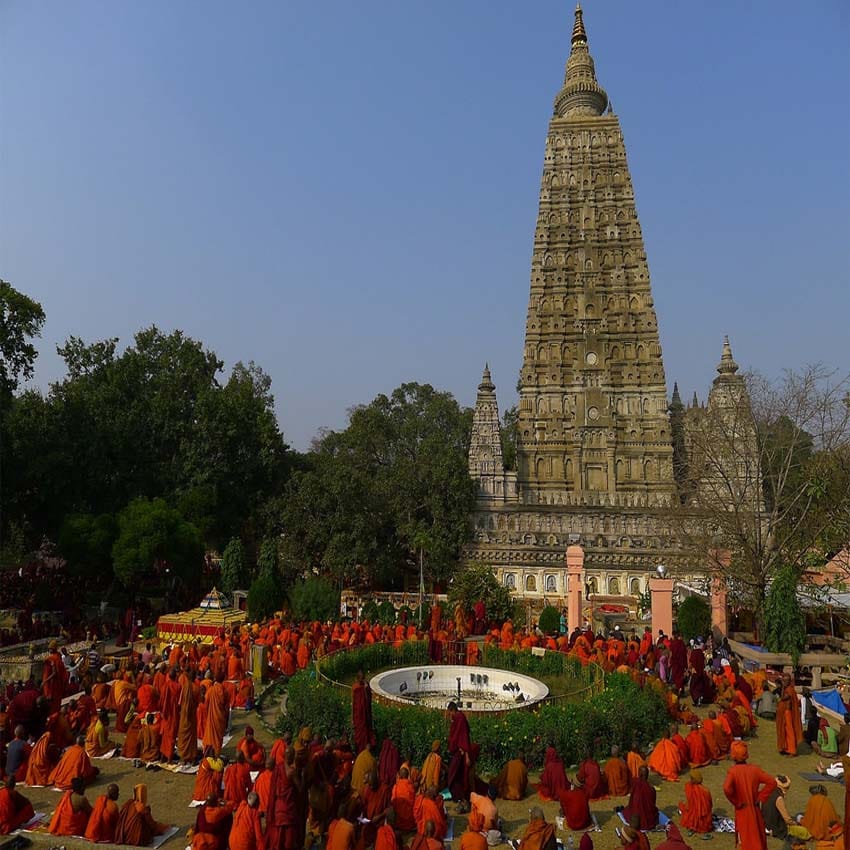 buddha purnima: bodhi tree stand with 12 pillar in mahabodhi temple