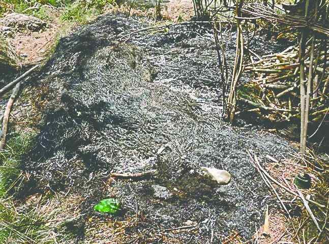 Farmers of Haryana hurl huts