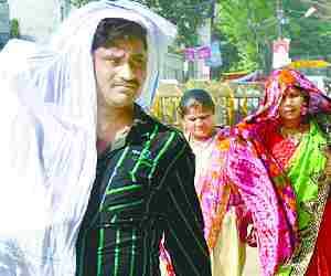 Heat wave creates havoc