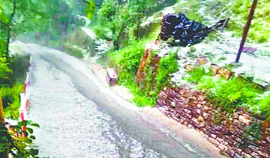Heavy loss of fruit vegetables in general from hail