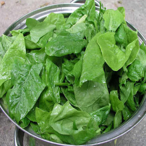 Include these things in your diet to avoid anemia