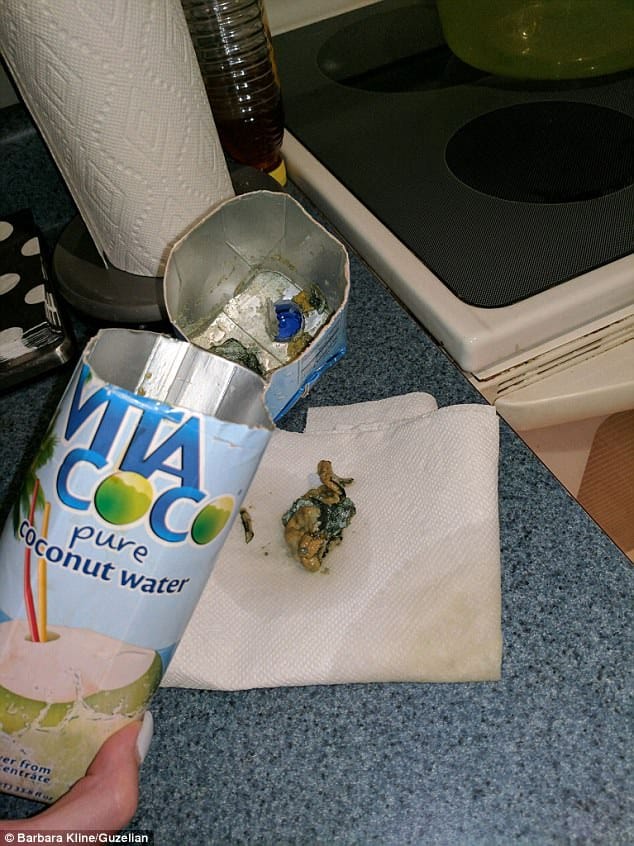 squid like object in a women's bottle of coconut water.