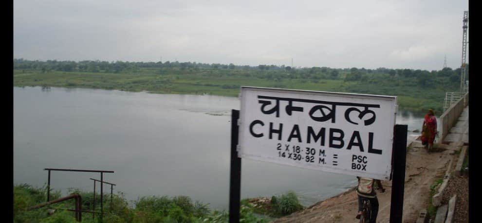 New Born Turtle in Chambal Sanctuary Wildlife Department increased monitoring