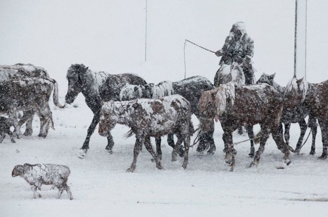 See the photos in full week. 10 special photos from around the world including India