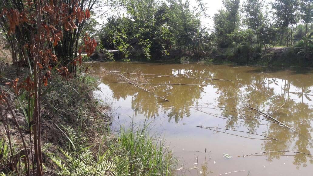 Clouds of crisis on Novela Lake
