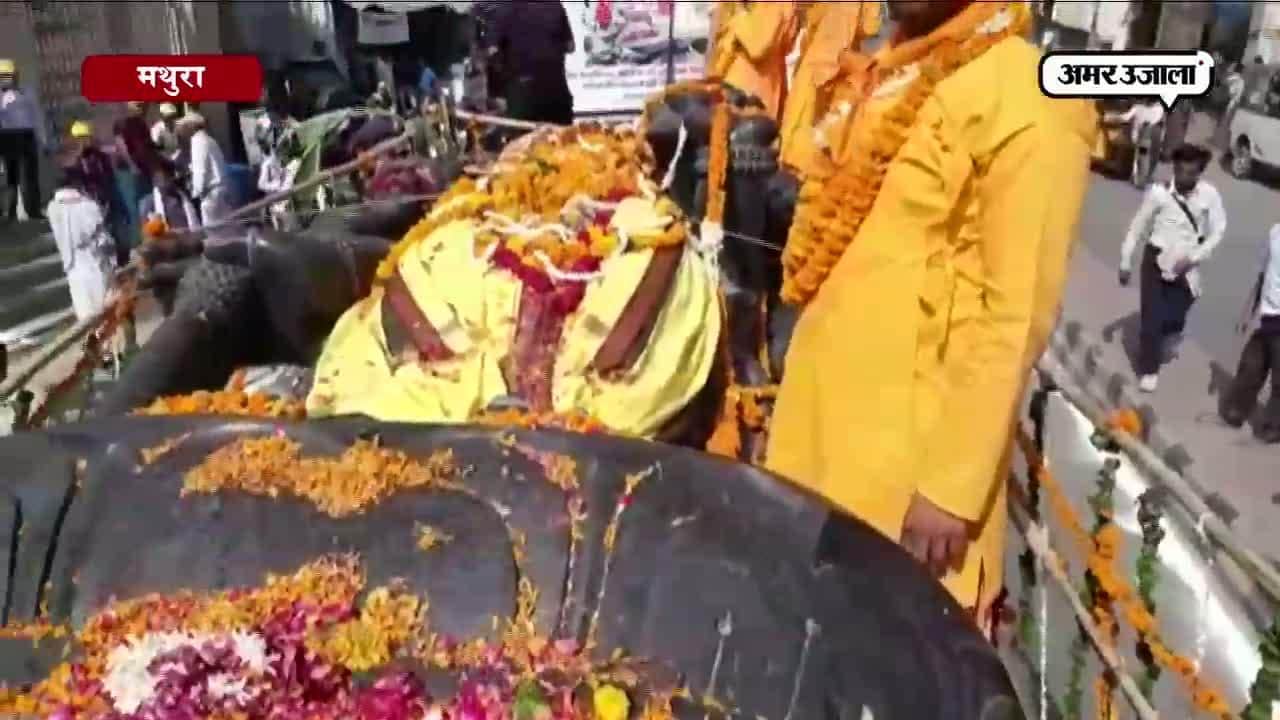 मथुरा कृष्ण की प्रतिमा