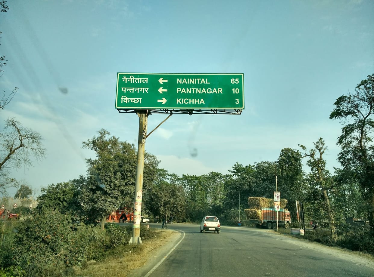 more than 14 thousand green tree will cut for national highway 