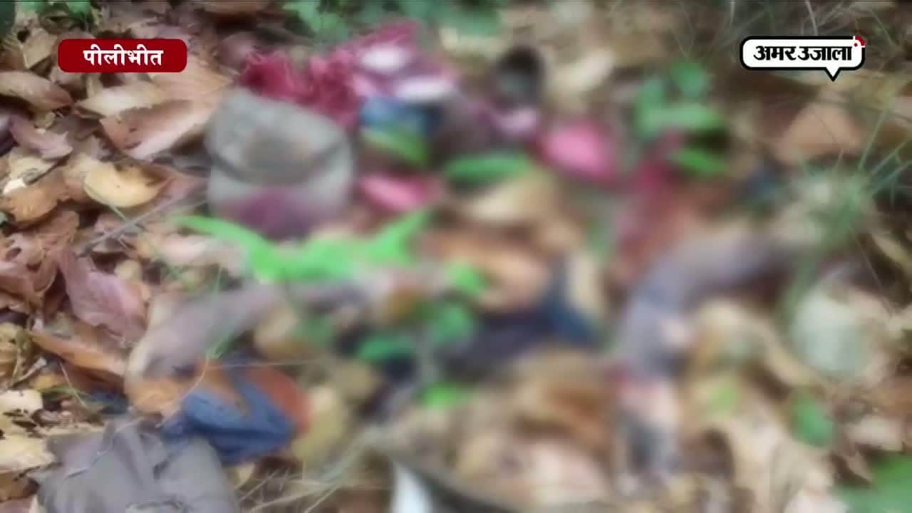 पीलीभीत टाइगर हमला