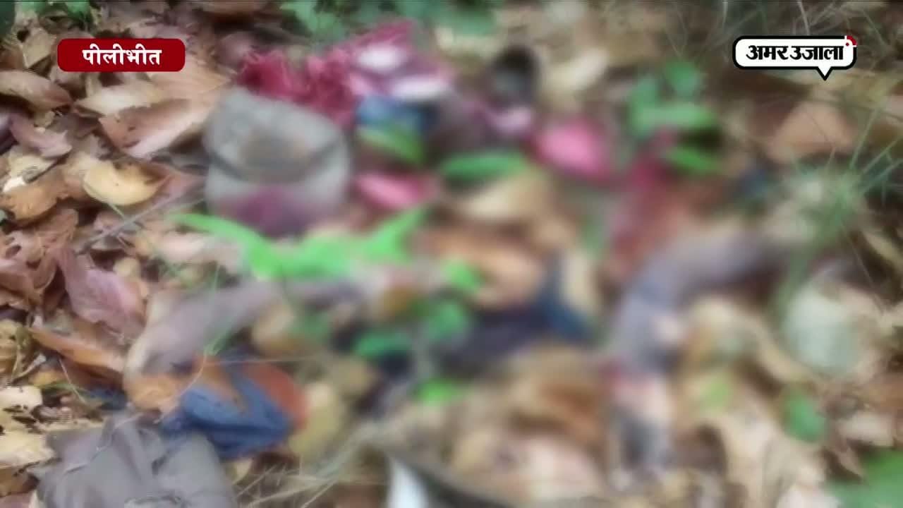 पीलीभीत टाइगर हमला
