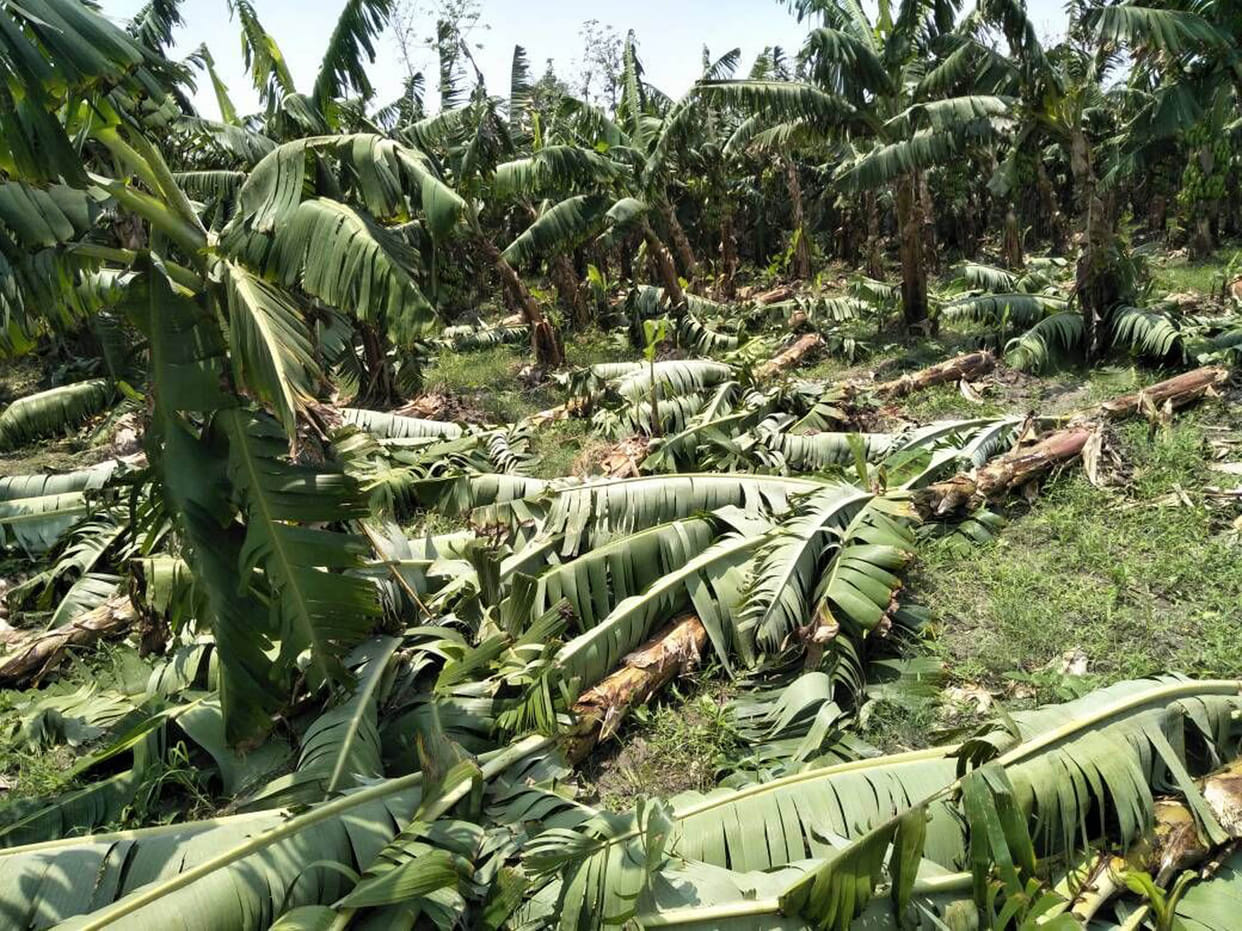 Storm-water disaster erupted