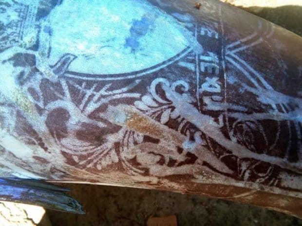 Fish covered with unique ‘tattoos’ caught in the Philippines  