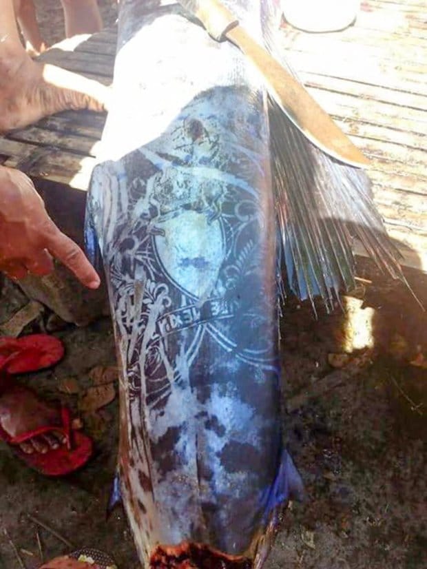 Fish covered with unique ‘tattoos’ caught in the Philippines  