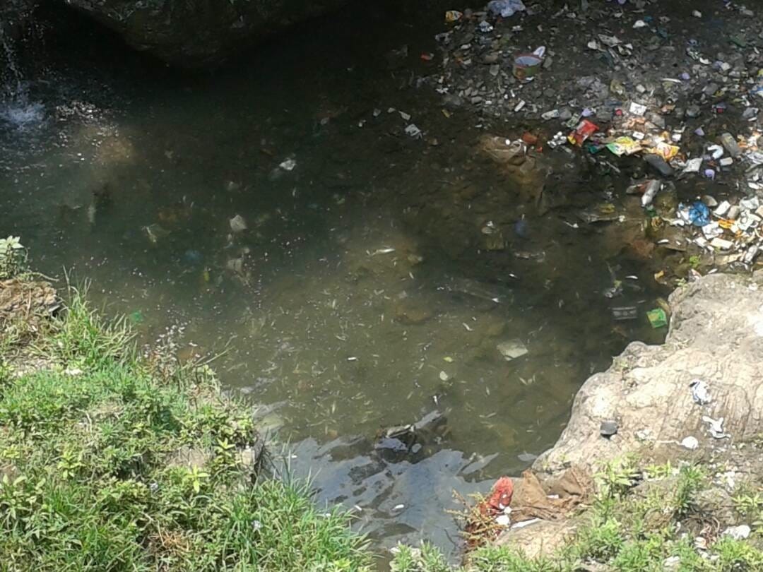 Hundreds of fish found dead near Punarad Gadere.