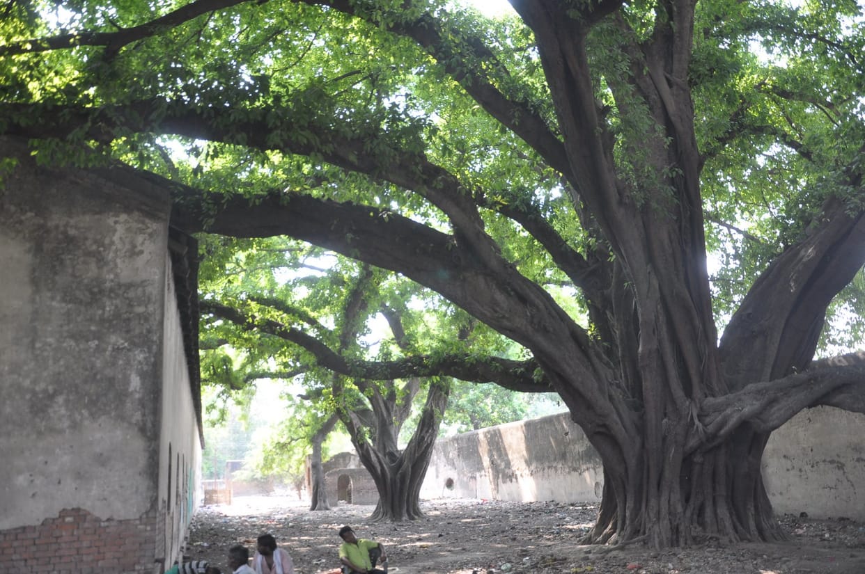 Story of old jail
