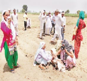 jameen ke vivad mein pita ko fawde se kata