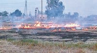 burning, wheat field, administration, people, kaithal