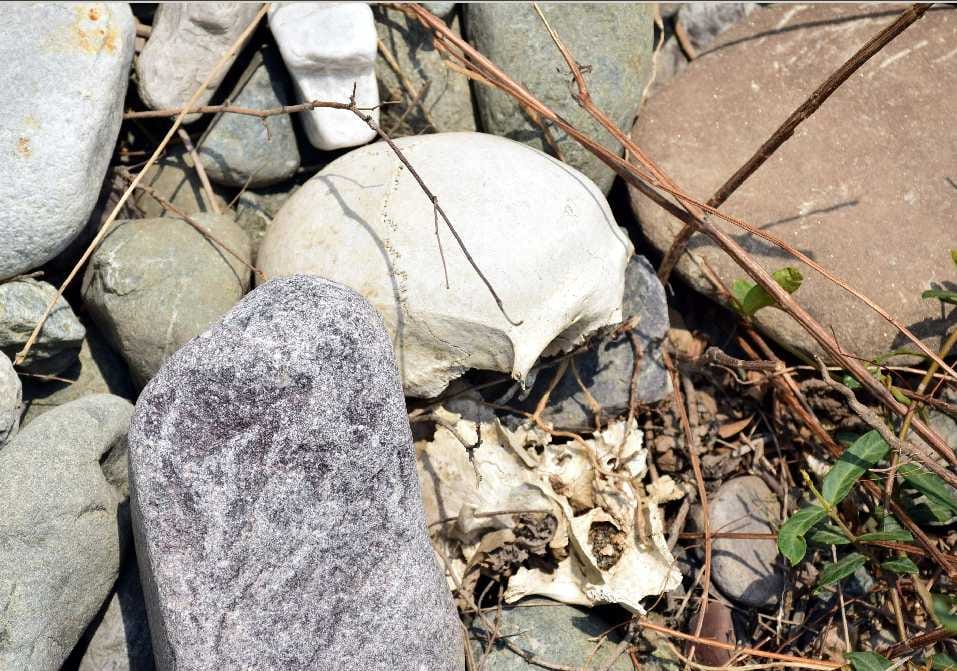 Grave pops found in gaula river