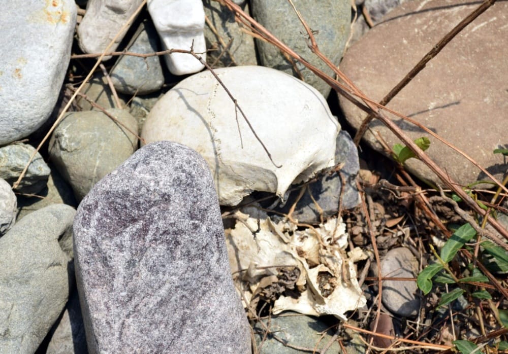 Human bones found during Digging of land in haldwani