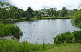 If water does not get water in pond, then officials will recover
