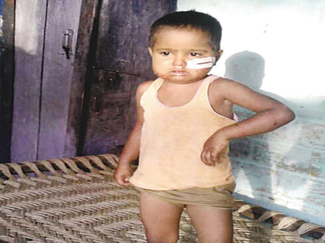 Monkeys cut 21 in four days