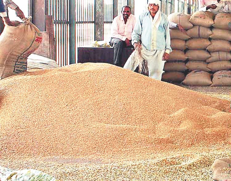 Highest Bulandshahr in the Mandal in Wheat Purchase