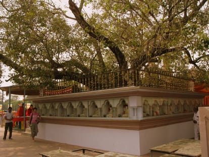 Dalai lama will come to twenty nine december in sarnath