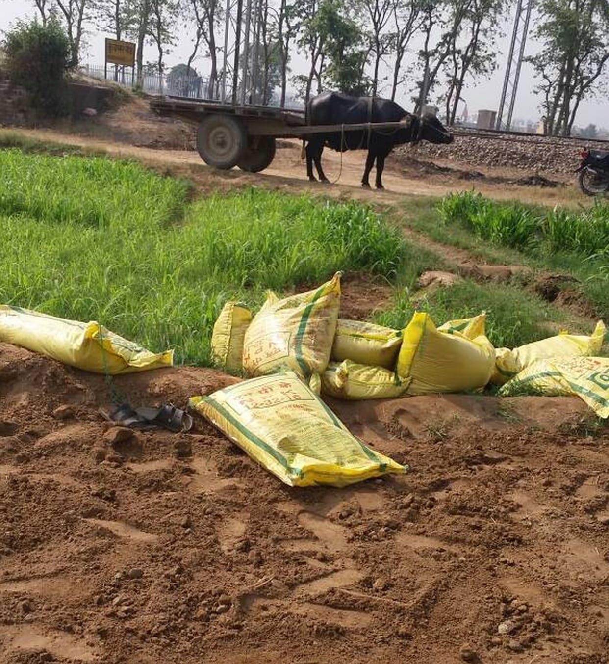 Not being stolen compost.