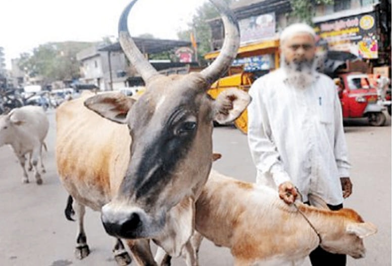 cows meat sickness