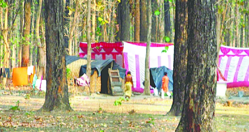 An attempt to encroach on forest land by the excuse of Bhagwat legend