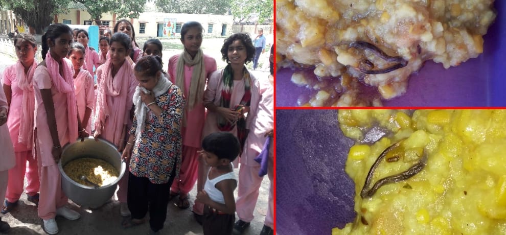 snake found in mid day meal in faridabad