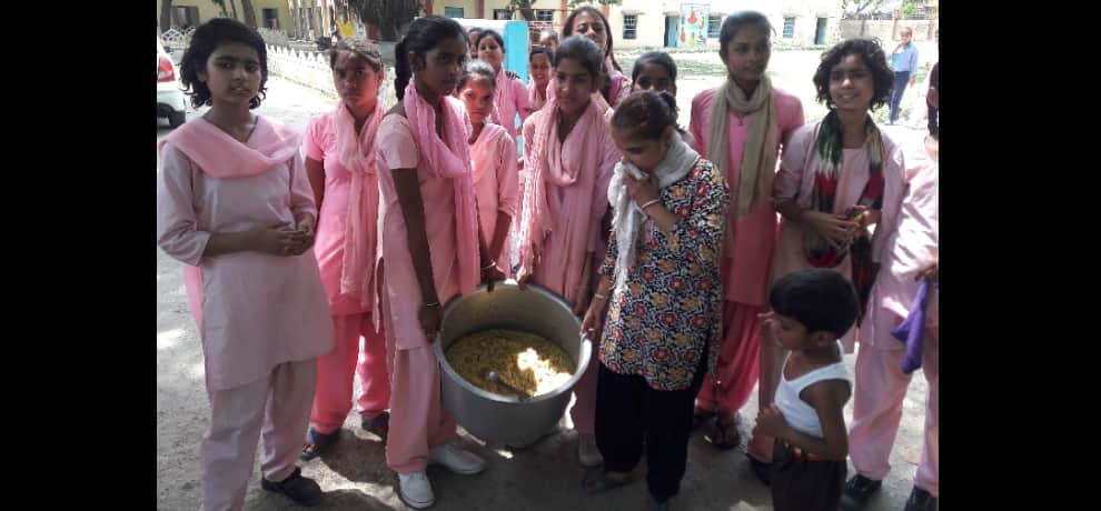 snake found in mid day meal in faridabad