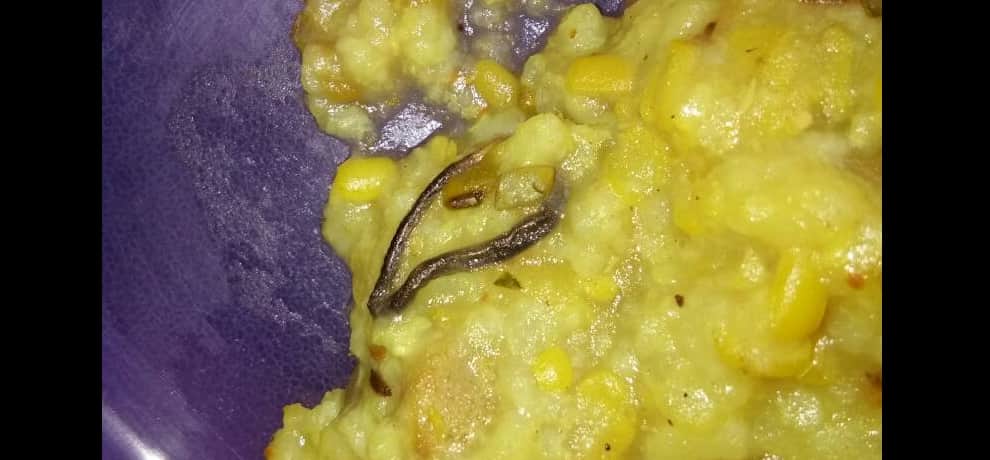 snake found in mid day meal in faridabad